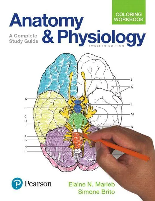 Cover: 9780134459363 | Anatomy and Physiology Coloring Workbook: A Complete Study Guide