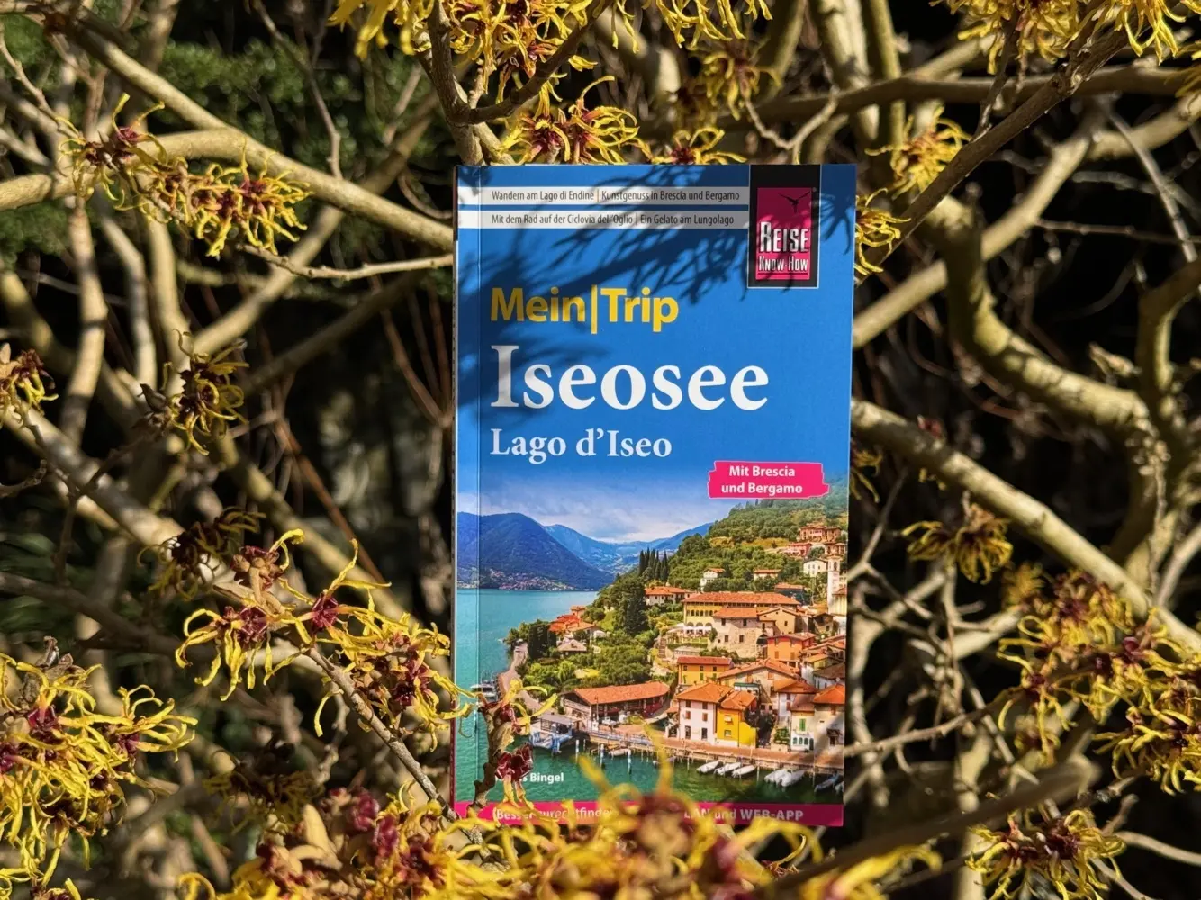 Bild: 9783831739363 | Reise Know-How MeinTrip Iseosee / Lago d'Iseo | Markus Bingel | Buch