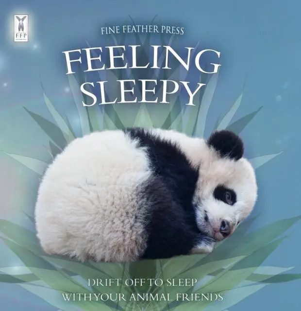 Cover: 9781908489463 | Feeling Sleepy | Andrea Pinnington (u. a.) | Buch | Papp-Bilderbuch