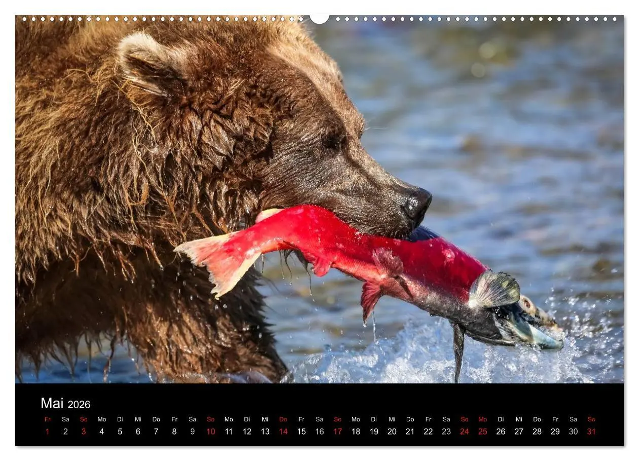 Bild: 9783516079463 | Alaska 2026 Wildes Land am Ende der Welt (hochwertiger Premium...