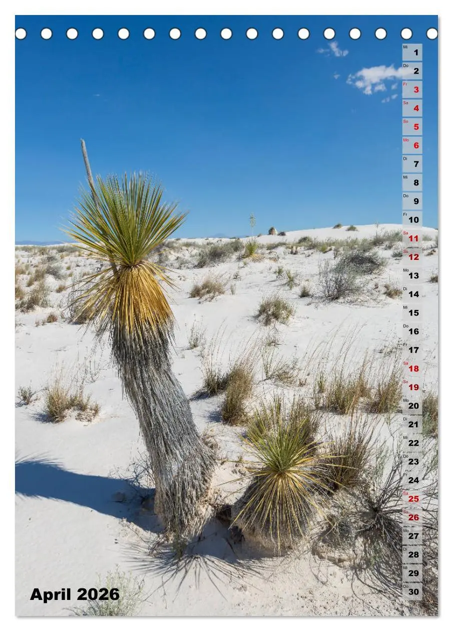 Bild: 9783516389463 | WHITE SANDS NATIONAL MONUMENT Wüstenimpressionen (Tischkalender...