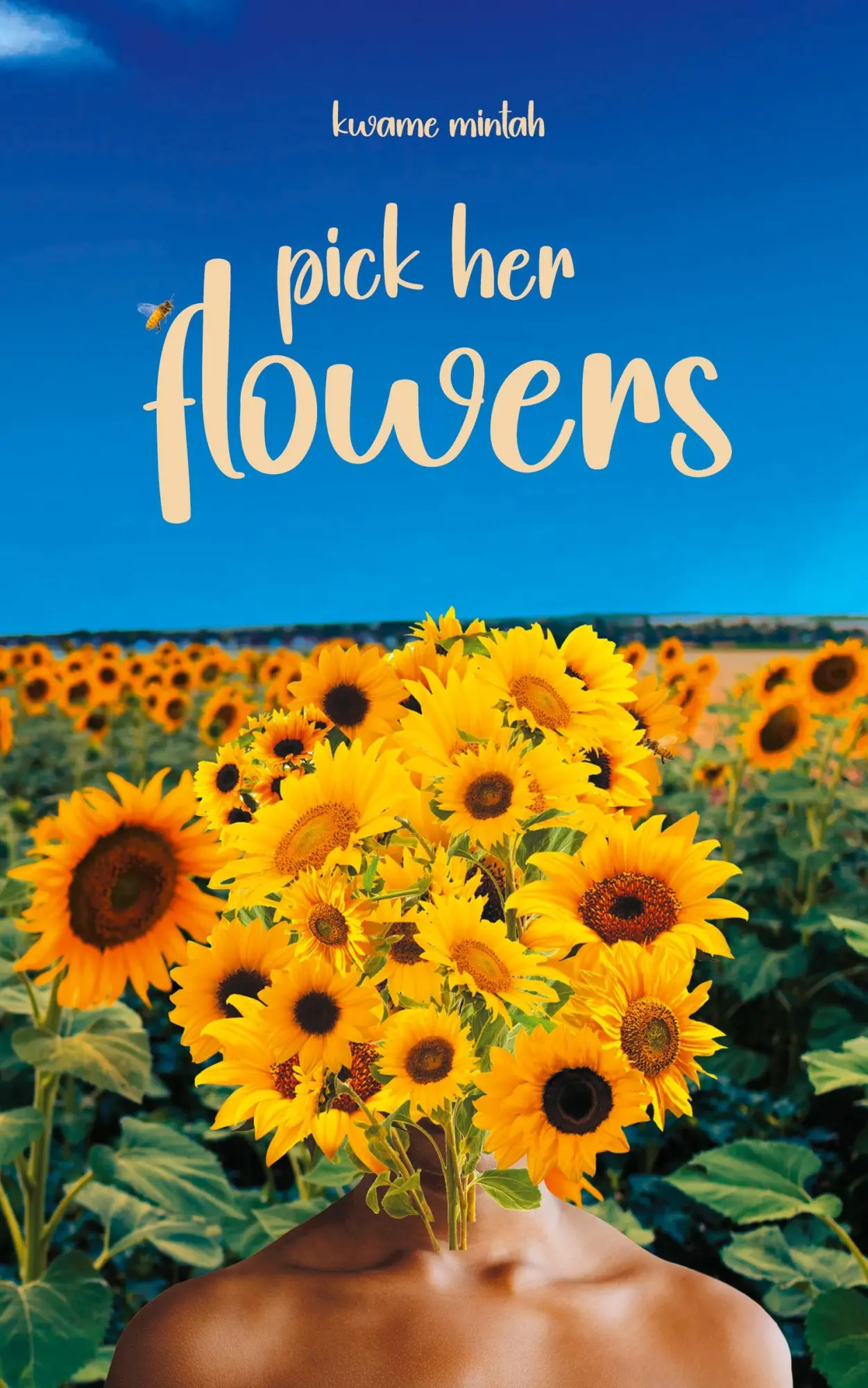 Cover: 9781916849563 | Pick Her Flowers | Kwame Mintah | Taschenbuch | Englisch | 2024