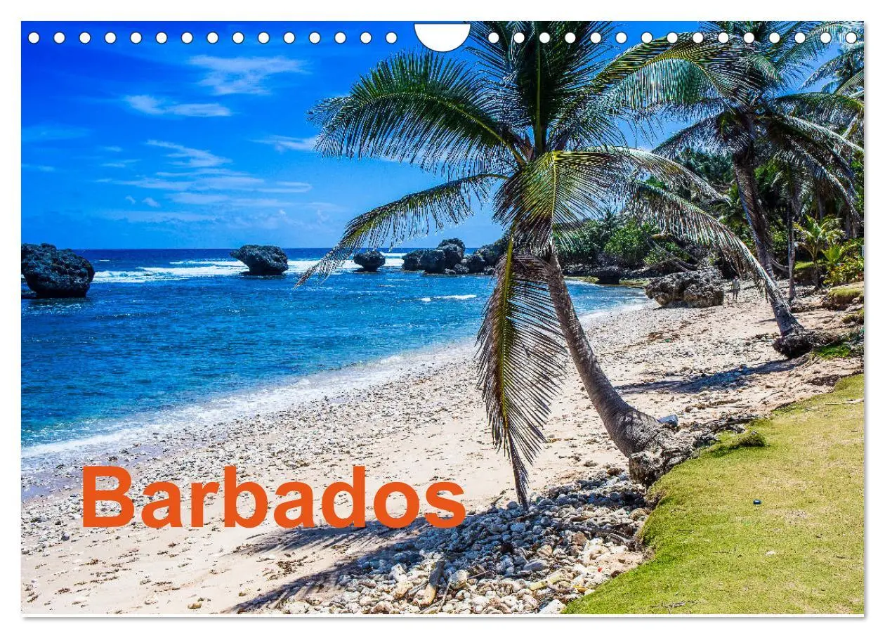 Cover: 9783457809563 | Barbados (Wandkalender 2026 DIN A4 quer), CALVENDO Monatskalender