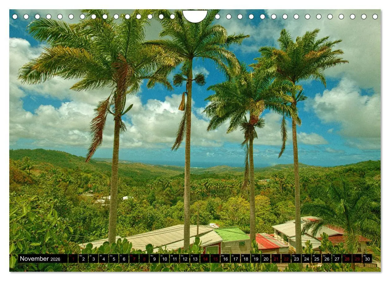 Bild: 9783457809563 | Barbados (Wandkalender 2026 DIN A4 quer), CALVENDO Monatskalender