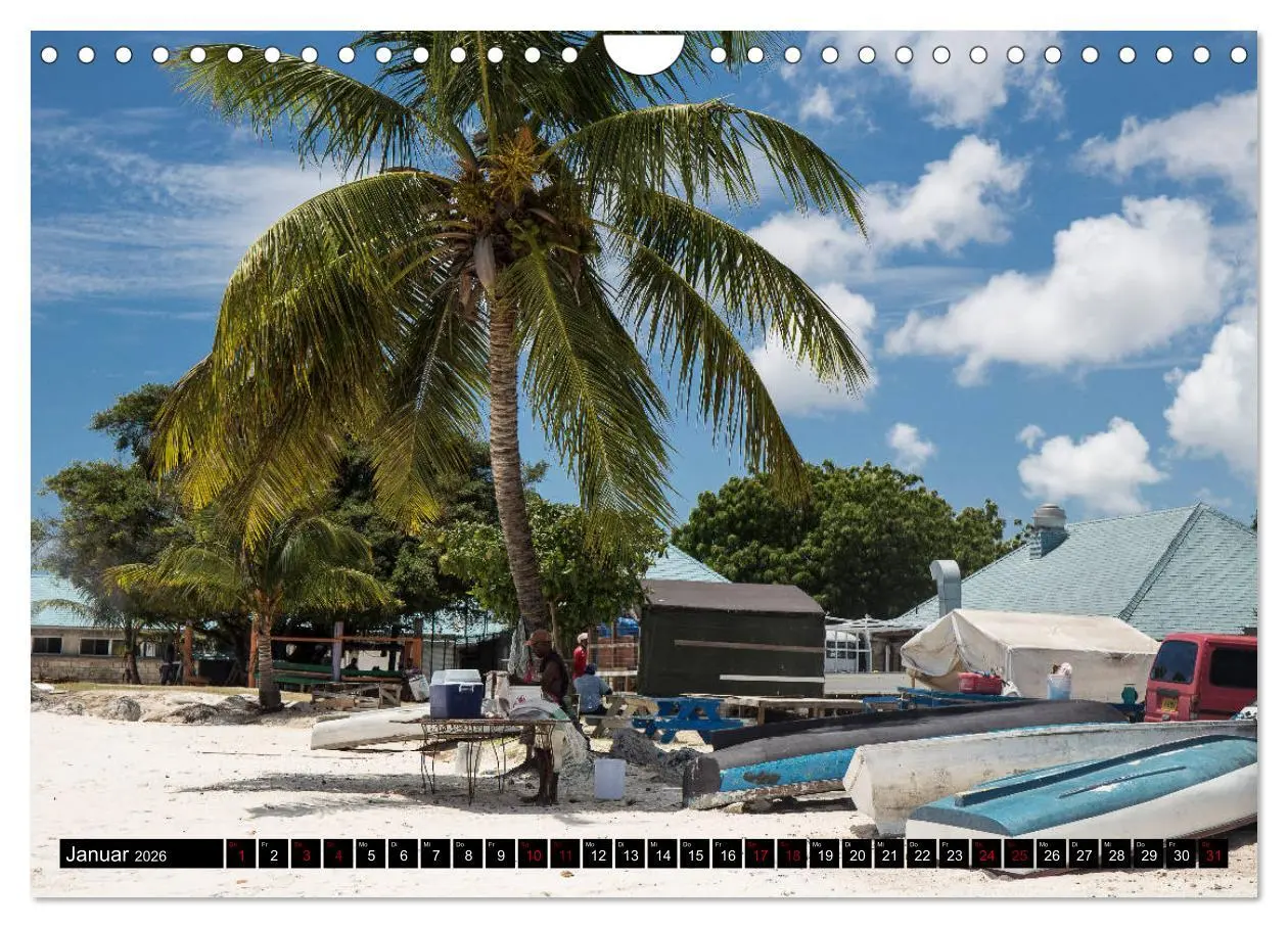 Bild: 9783457809563 | Barbados (Wandkalender 2026 DIN A4 quer), CALVENDO Monatskalender
