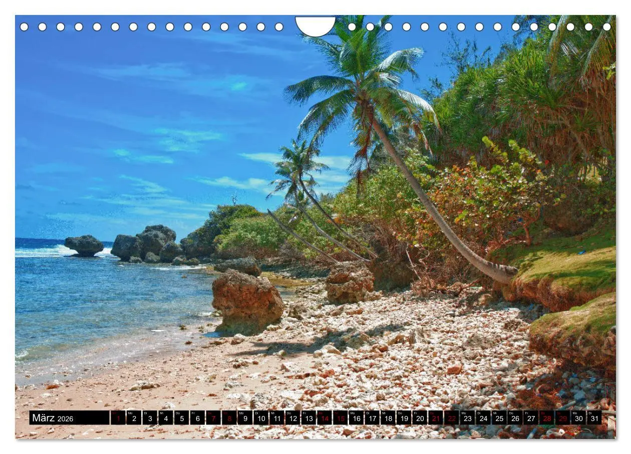 Bild: 9783457809563 | Barbados (Wandkalender 2026 DIN A4 quer), CALVENDO Monatskalender