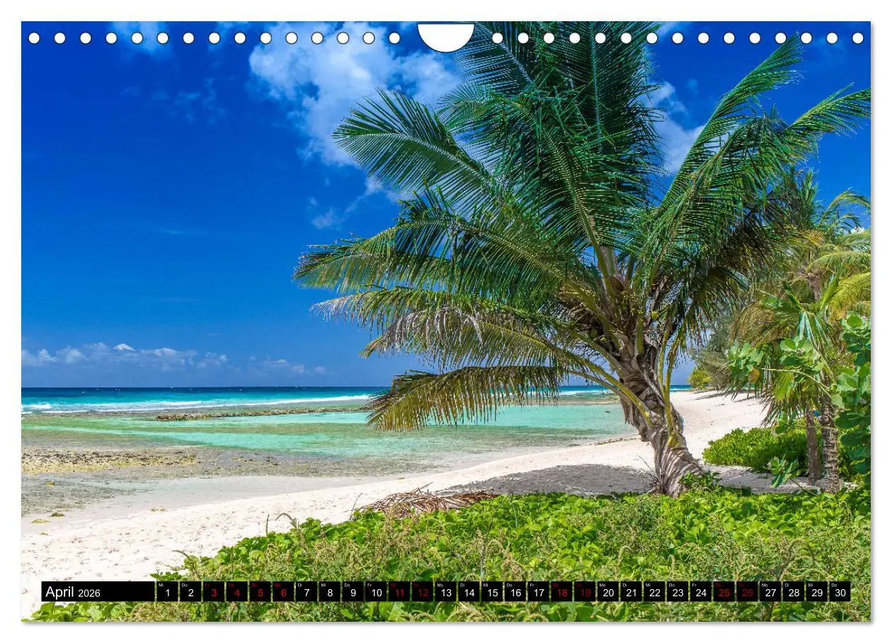 Bild: 9783457809563 | Barbados (Wandkalender 2026 DIN A4 quer), CALVENDO Monatskalender