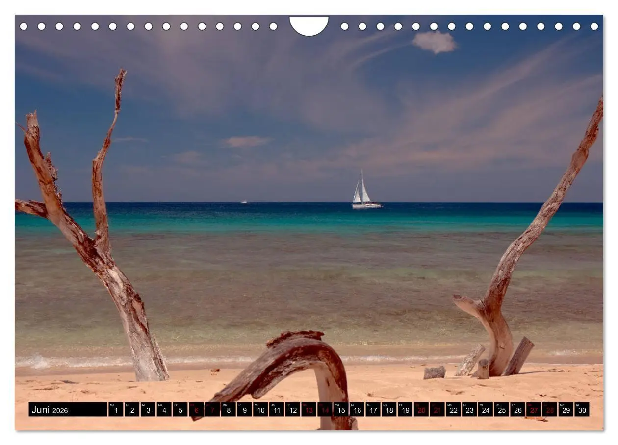 Bild: 9783457809563 | Barbados (Wandkalender 2026 DIN A4 quer), CALVENDO Monatskalender