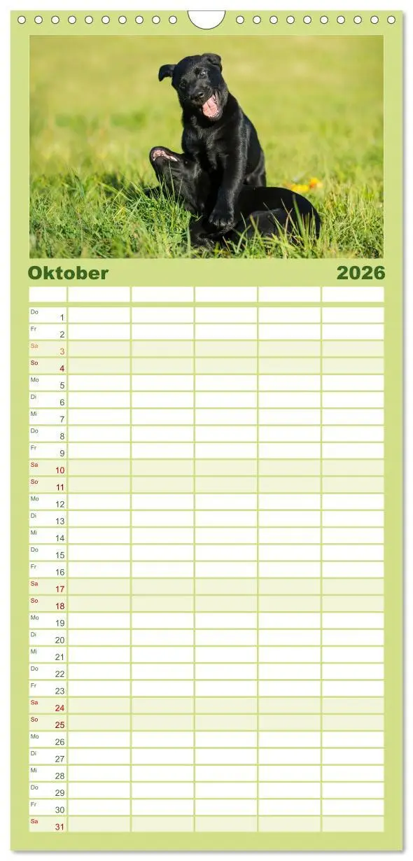 Bild: 9783516519563 | Familienplaner 2026 - Labrador Retriever 2026 mit 5 Spalten...