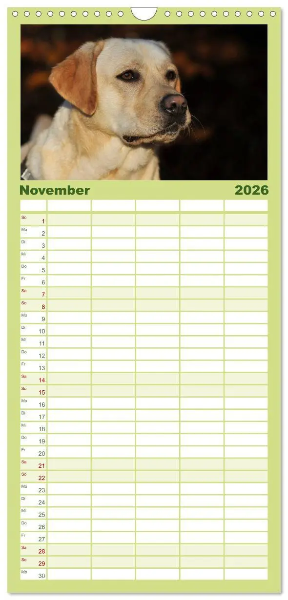 Bild: 9783516519563 | Familienplaner 2026 - Labrador Retriever 2026 mit 5 Spalten...