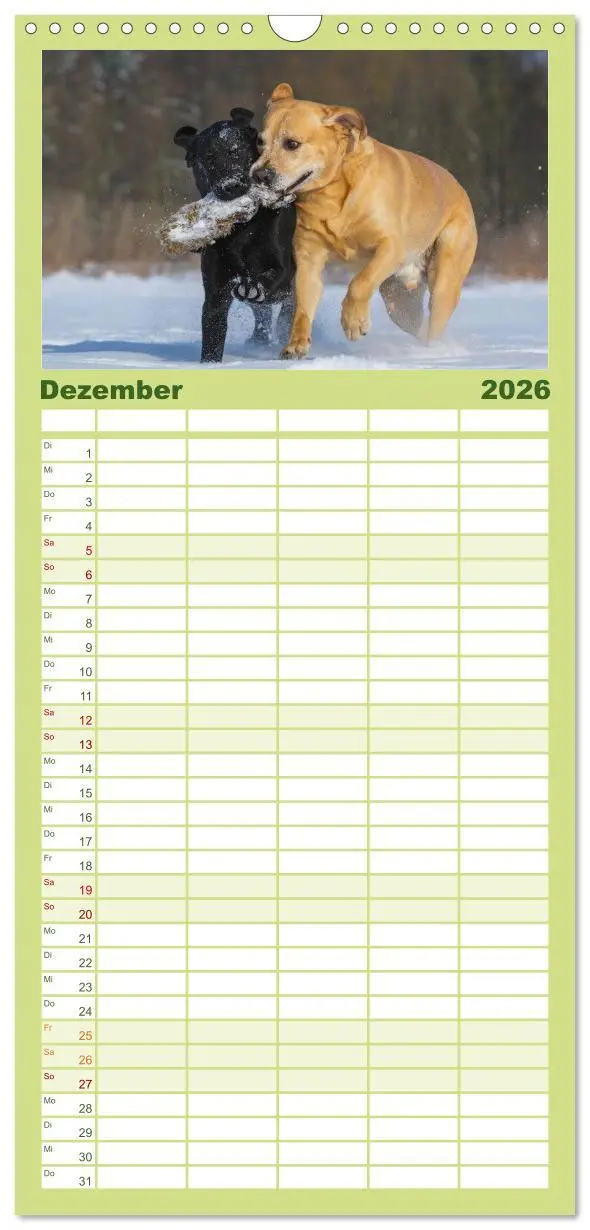 Bild: 9783516519563 | Familienplaner 2026 - Labrador Retriever 2026 mit 5 Spalten...