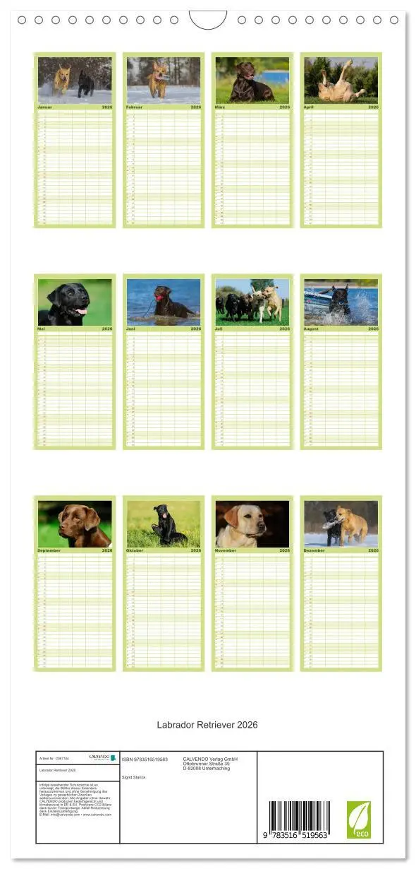Bild: 9783516519563 | Familienplaner 2026 - Labrador Retriever 2026 mit 5 Spalten...