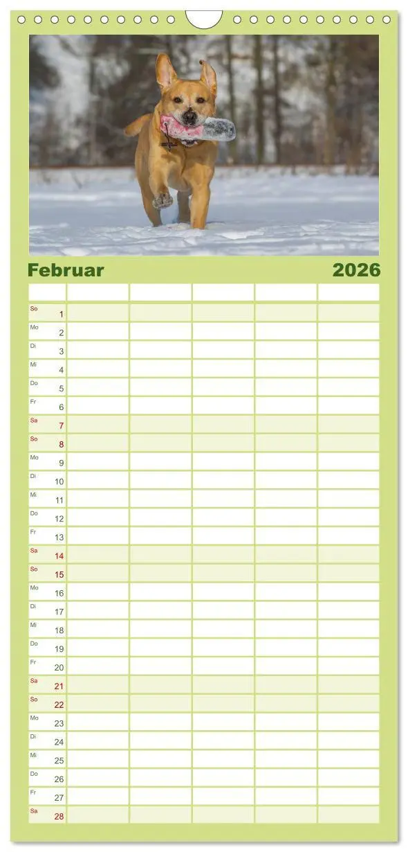 Bild: 9783516519563 | Familienplaner 2026 - Labrador Retriever 2026 mit 5 Spalten...