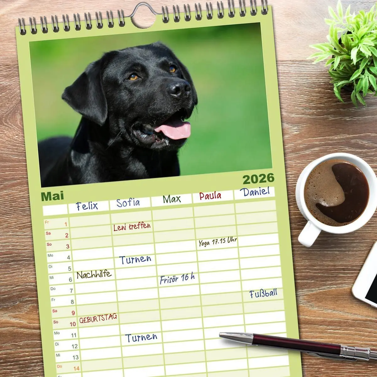 Bild: 9783516519563 | Familienplaner 2026 - Labrador Retriever 2026 mit 5 Spalten...