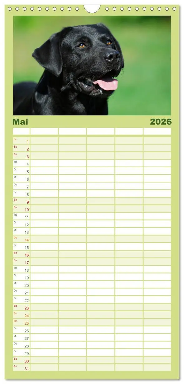 Bild: 9783516519563 | Familienplaner 2026 - Labrador Retriever 2026 mit 5 Spalten...