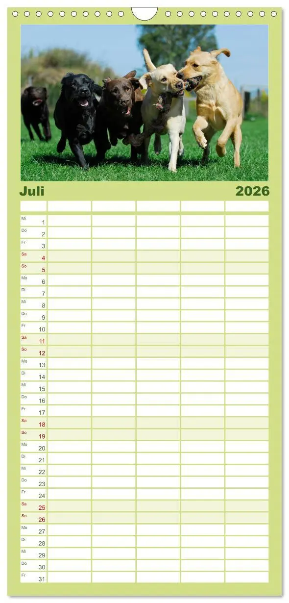 Bild: 9783516519563 | Familienplaner 2026 - Labrador Retriever 2026 mit 5 Spalten...