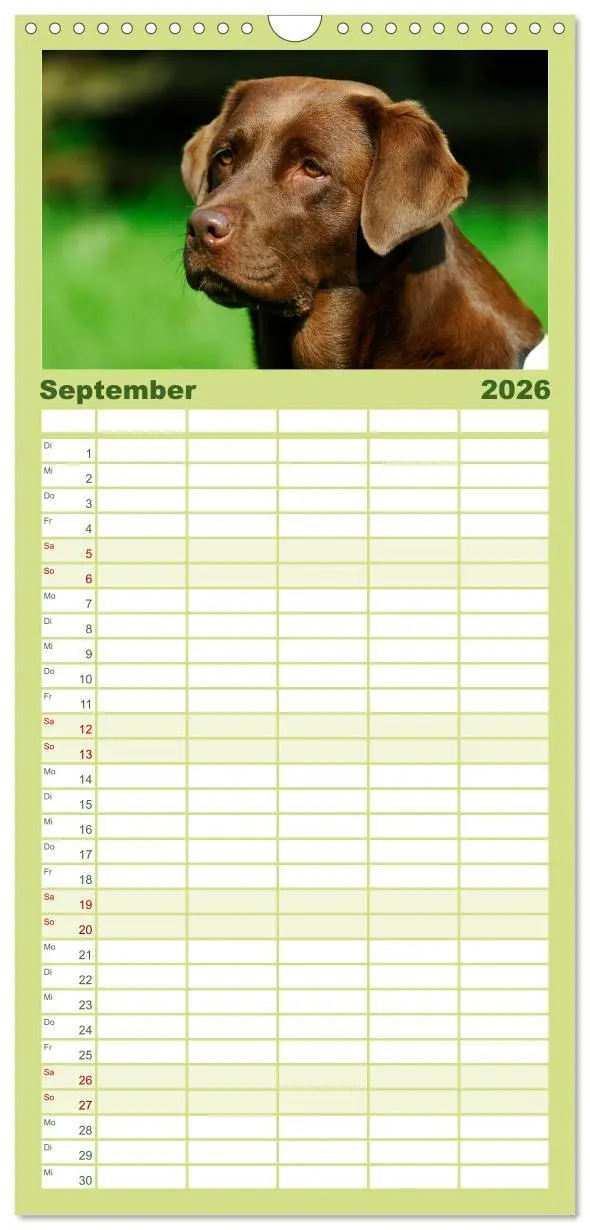 Bild: 9783516519563 | Familienplaner 2026 - Labrador Retriever 2026 mit 5 Spalten...
