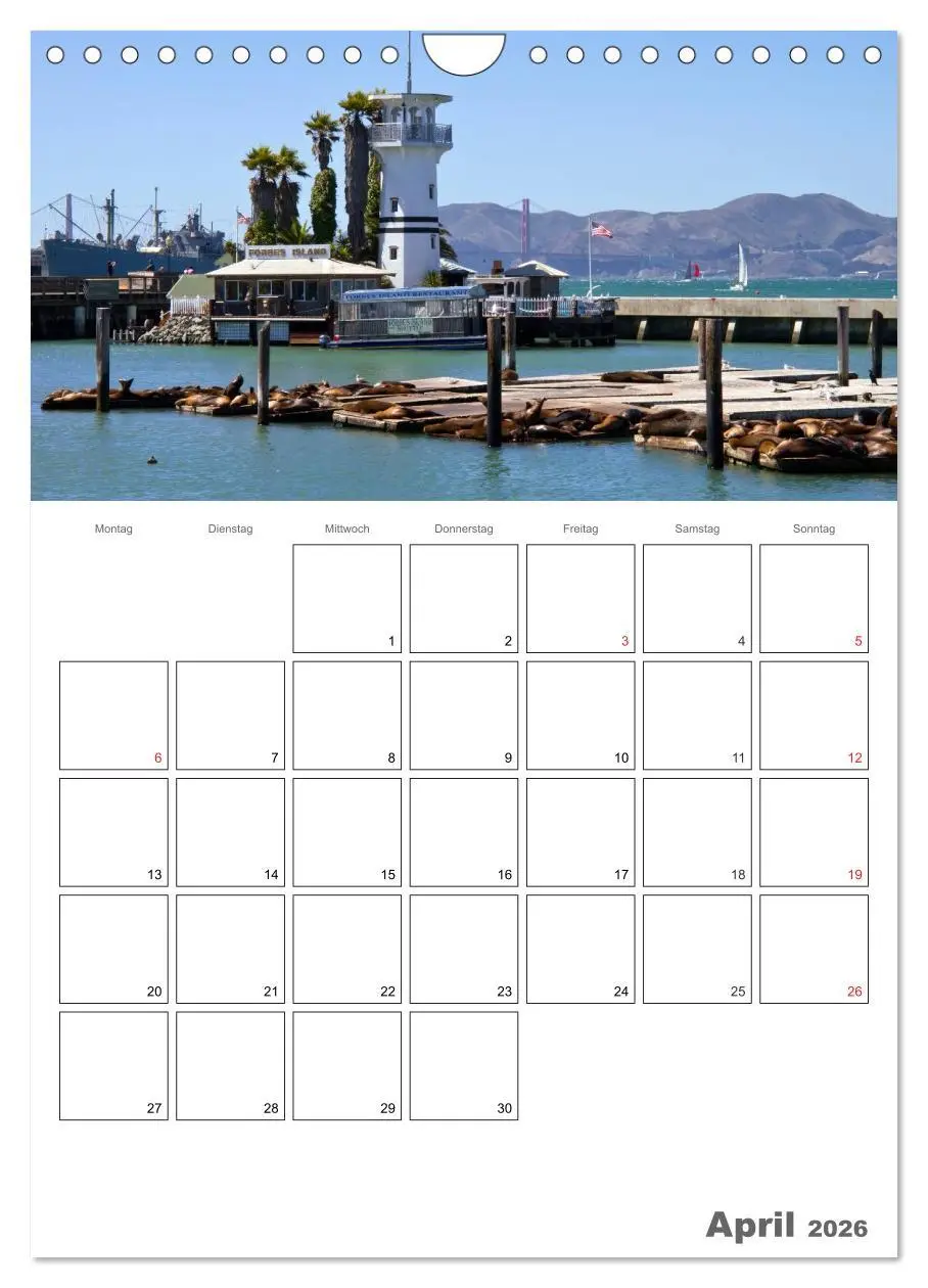 Bild: 9783516439663 | SAN FRANCISCO Terminplaner (Wandkalender 2026 DIN A4 hoch),...