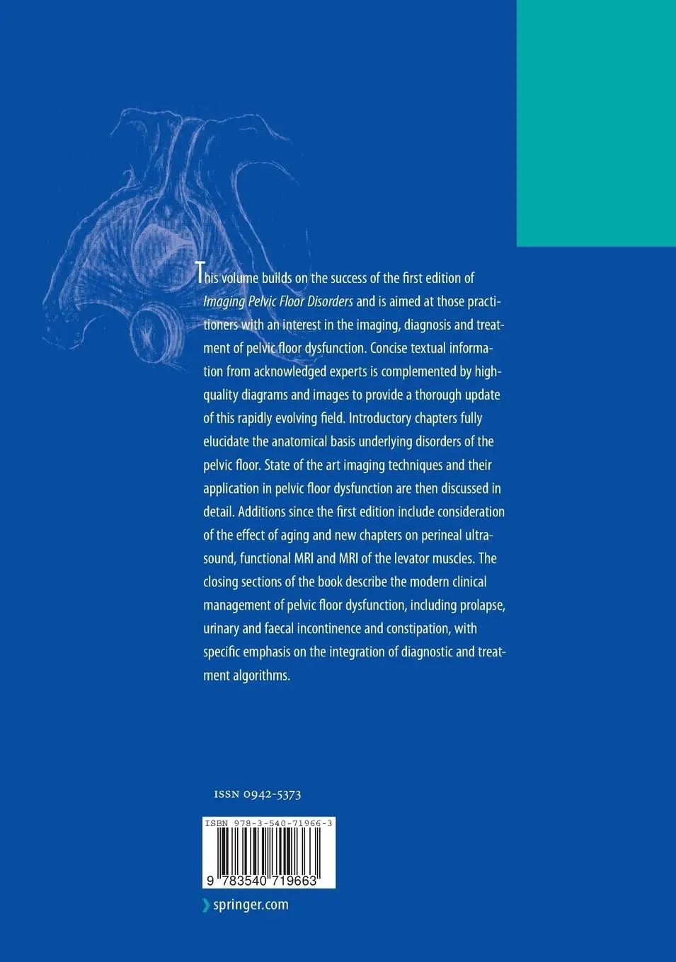 Rückseite: 9783540719663 | Imaging Pelvic Floor Disorders | Jaap Stoker (u. a.) | Buch | x | 2008