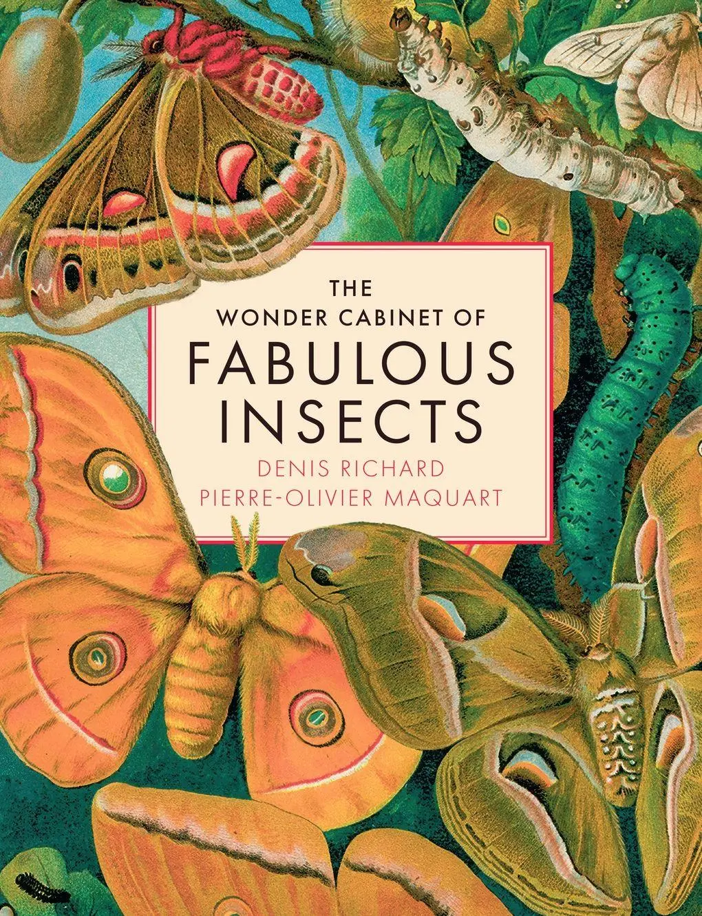 Cover: 9781419779763 | The Wonder Cabinet of Fabulous Insects | Denis Richard (u. a.) | Buch