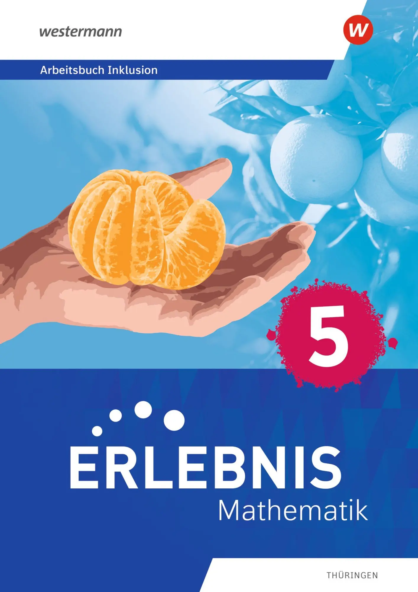 Cover: 9783141739763 | Erlebnis Mathematik. Arbeitsbuch Inklusion 5. Für Thüringen | Bundle
