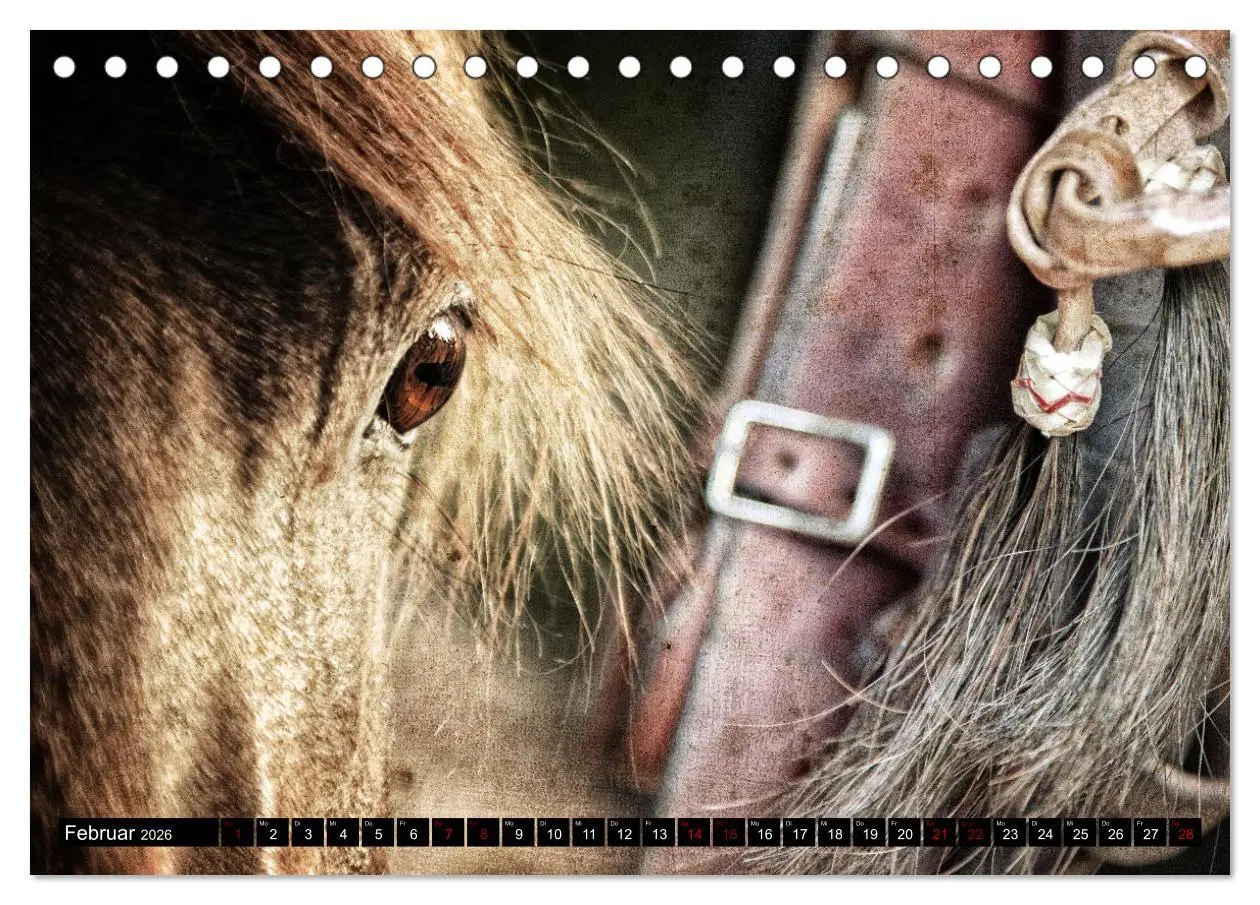 Bild: 9783457649763 | Magie Wilder Westen (Tischkalender 2026 DIN A5 quer), CALVENDO...