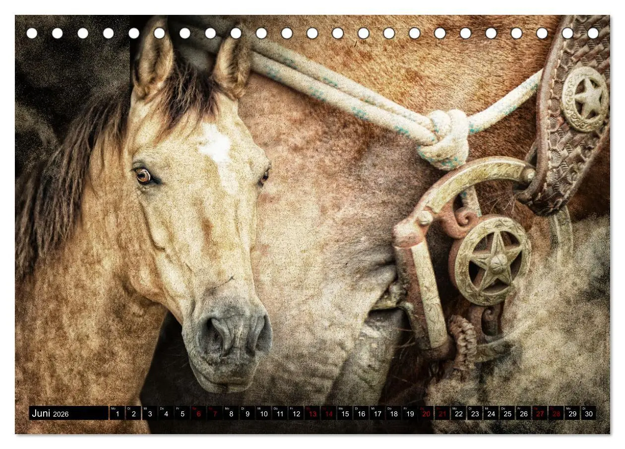Bild: 9783457649763 | Magie Wilder Westen (Tischkalender 2026 DIN A5 quer), CALVENDO...