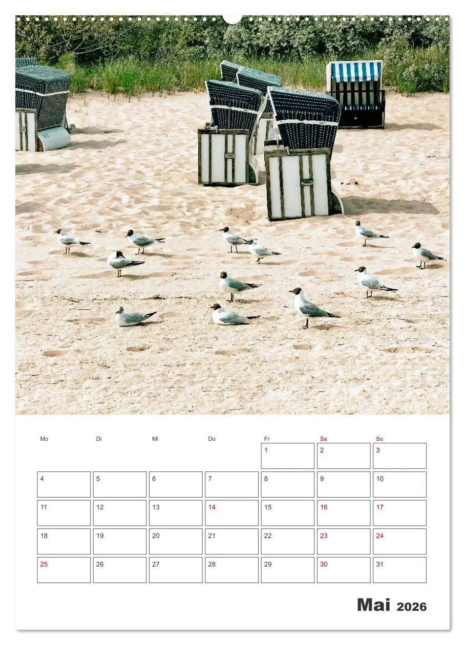 Bild: 9783516359763 | Usedom - Terminplaner (Wandkalender 2026 DIN A2 hoch), CALVENDO...