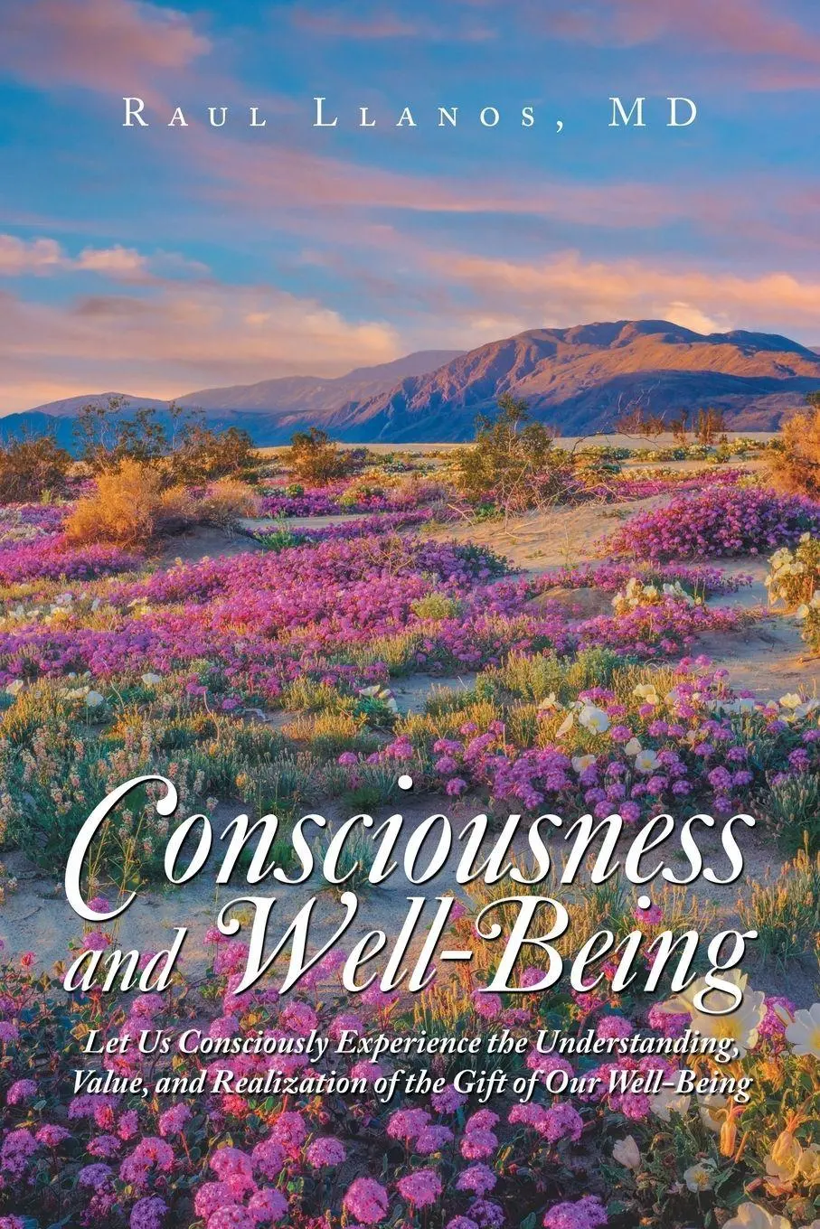 Cover: 9781982229863 | Consciousness and Well-Being | Raul Llanos MD | Taschenbuch | Englisch