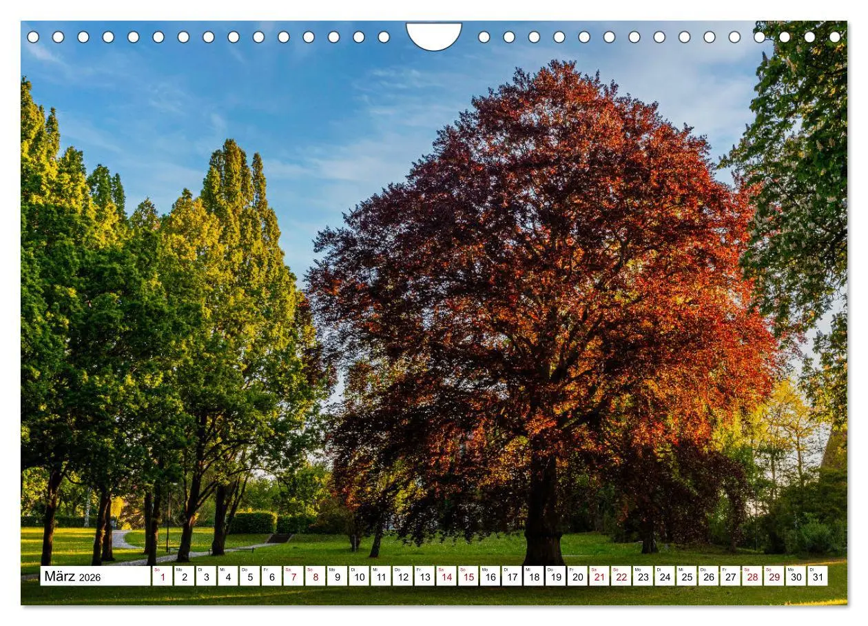 Bild: 9783457569863 | Heilbad Heiligenstadt Stadtansichten (Wandkalender 2026 DIN A4...