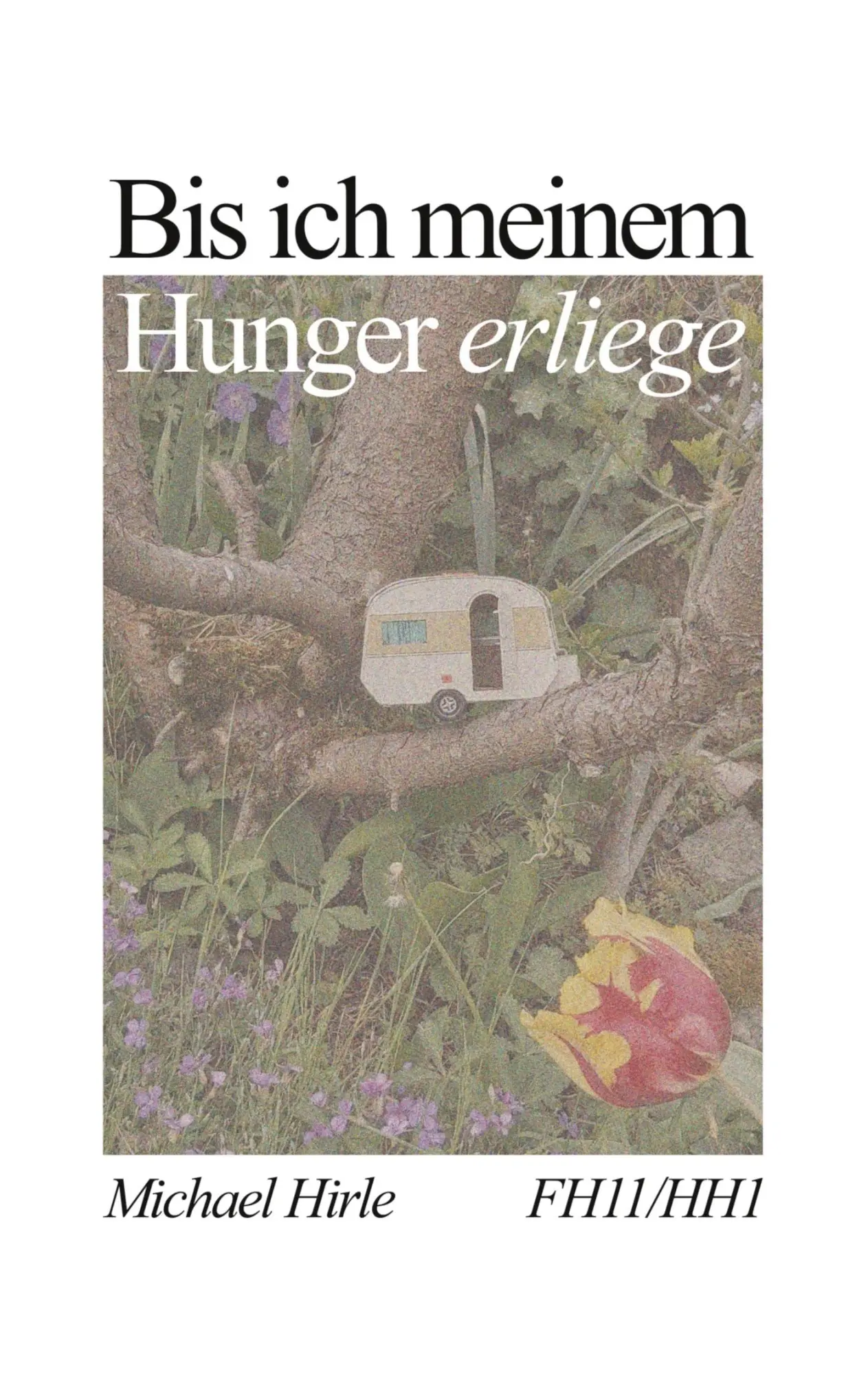 Cover: 9783696399863 | Bis ich meinem Hunger erliege | Fischherz 11/Herbstherzen 1 | Hirle