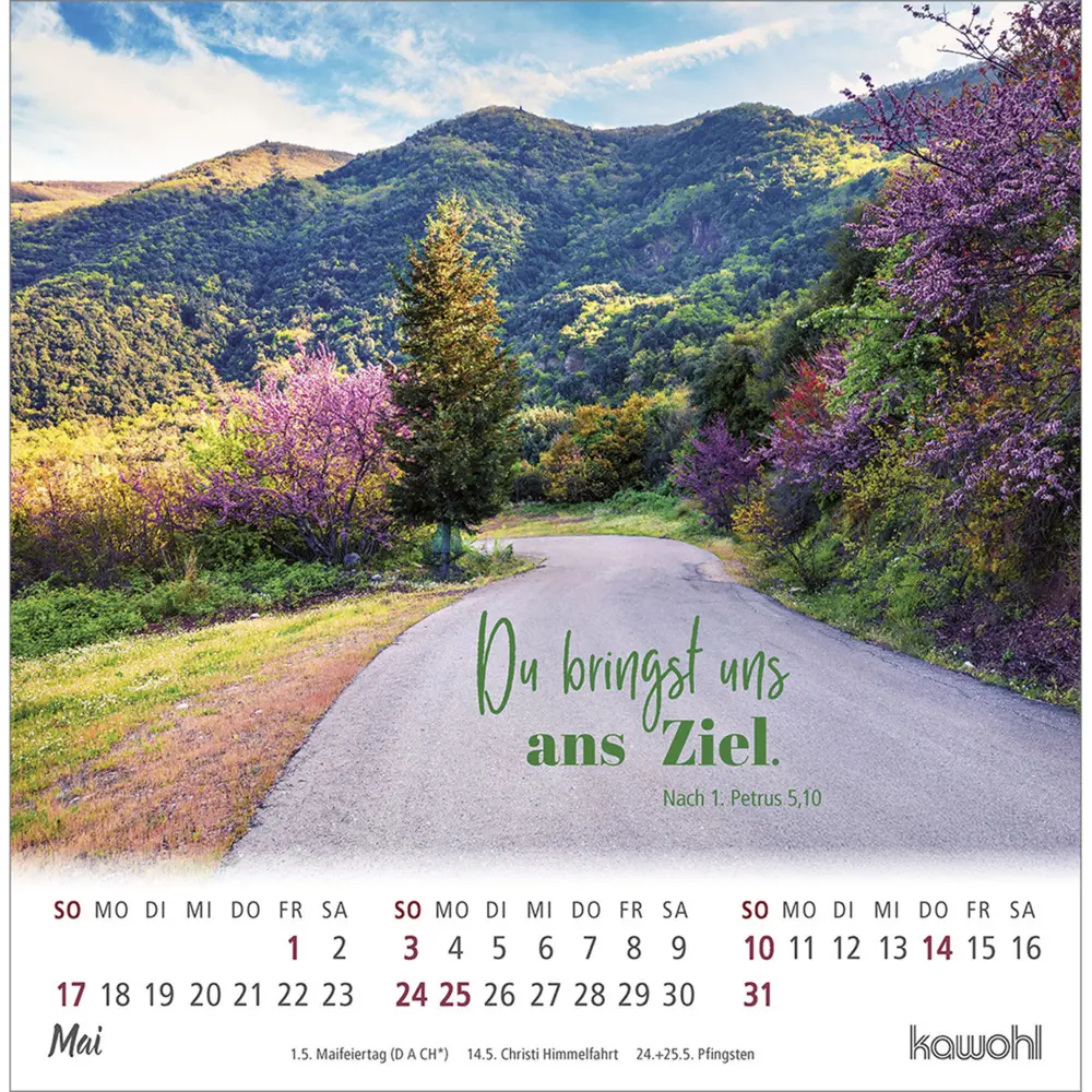 Bild: 9783754879863 | Ankommen &amp; leben 2026 | Postkartenkalender mit Bibelwort-Herzstücken
