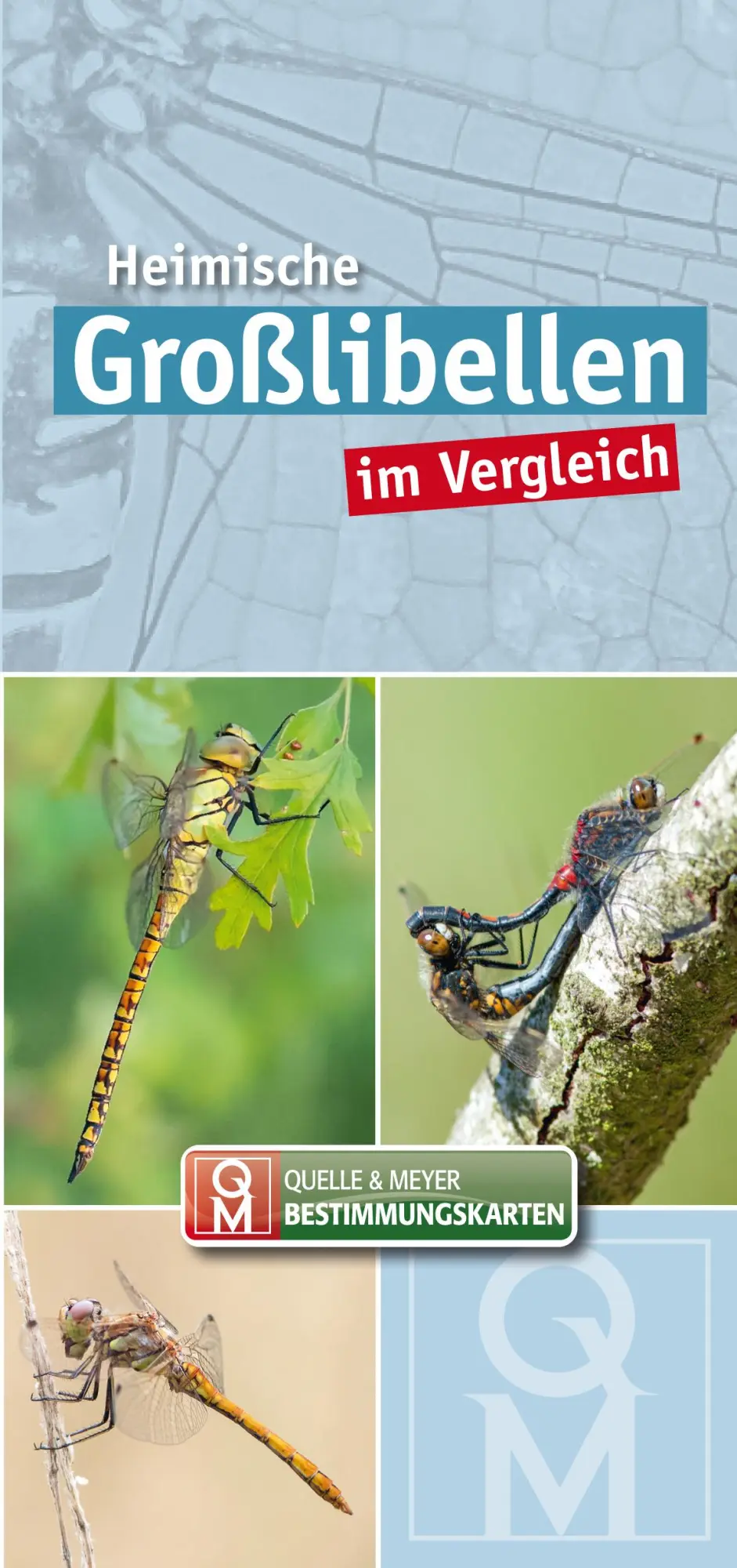 Cover: 9783494019963 | Heimische Großlibellen im Vergleich | Quelle &amp; Meyer Verlag | Buch