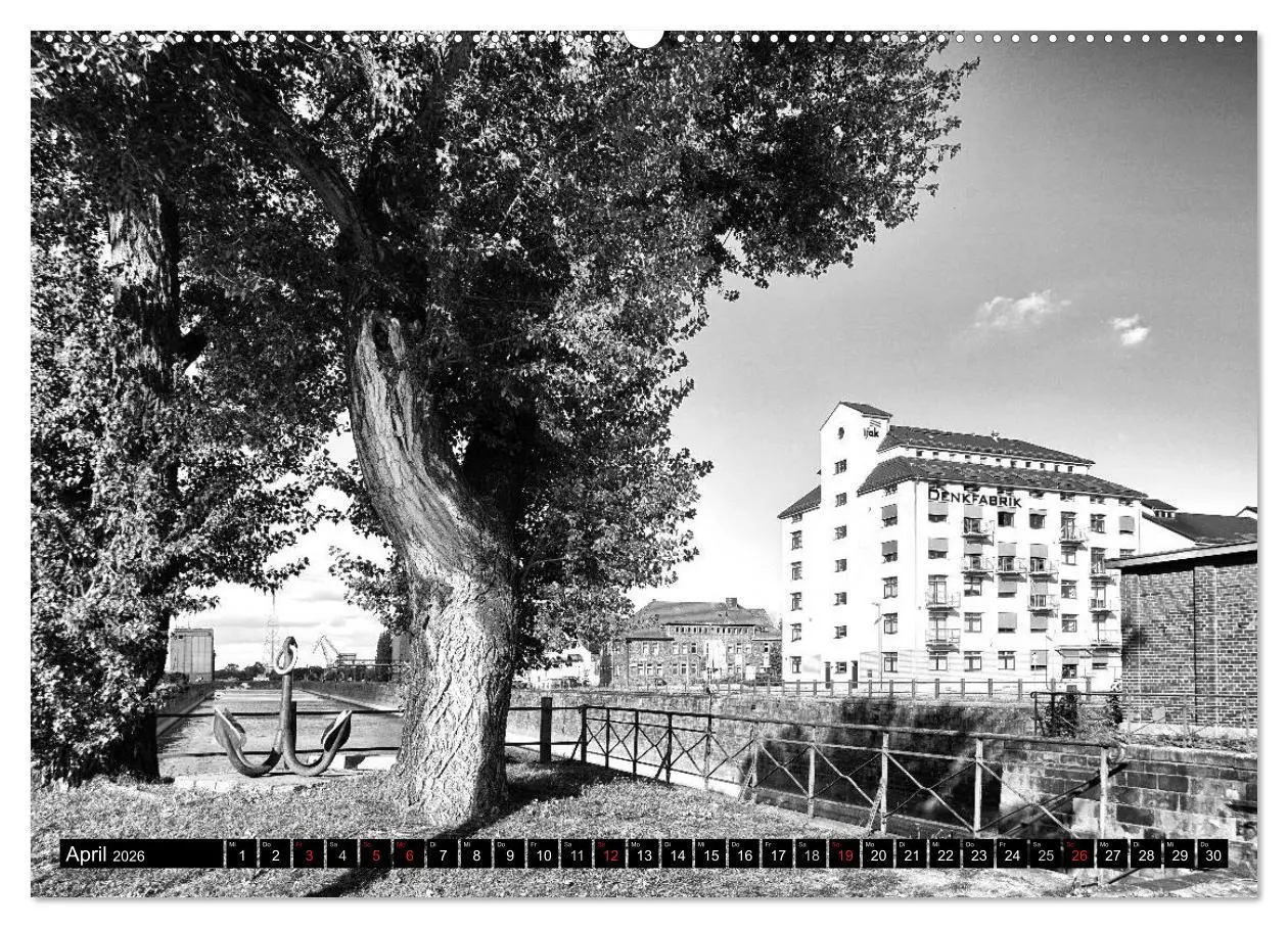 Bild: 9783516029963 | Magdeburg in Schwarz - Weiß (hochwertiger Premium Wandkalender 2026...