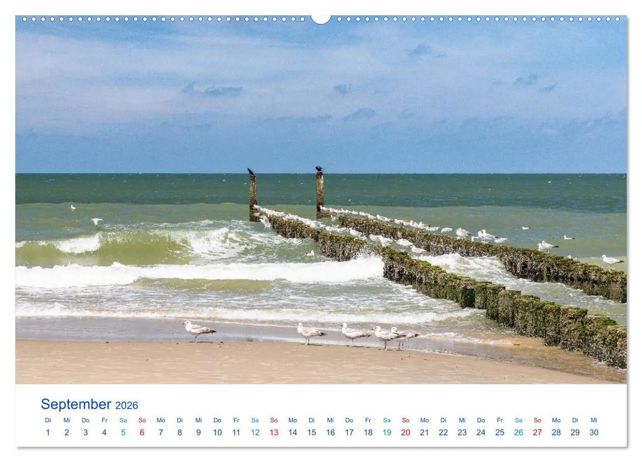 Bild: 9783516649963 | Sommer in Seeland (hochwertiger Premium Wandkalender 2026 DIN A2...