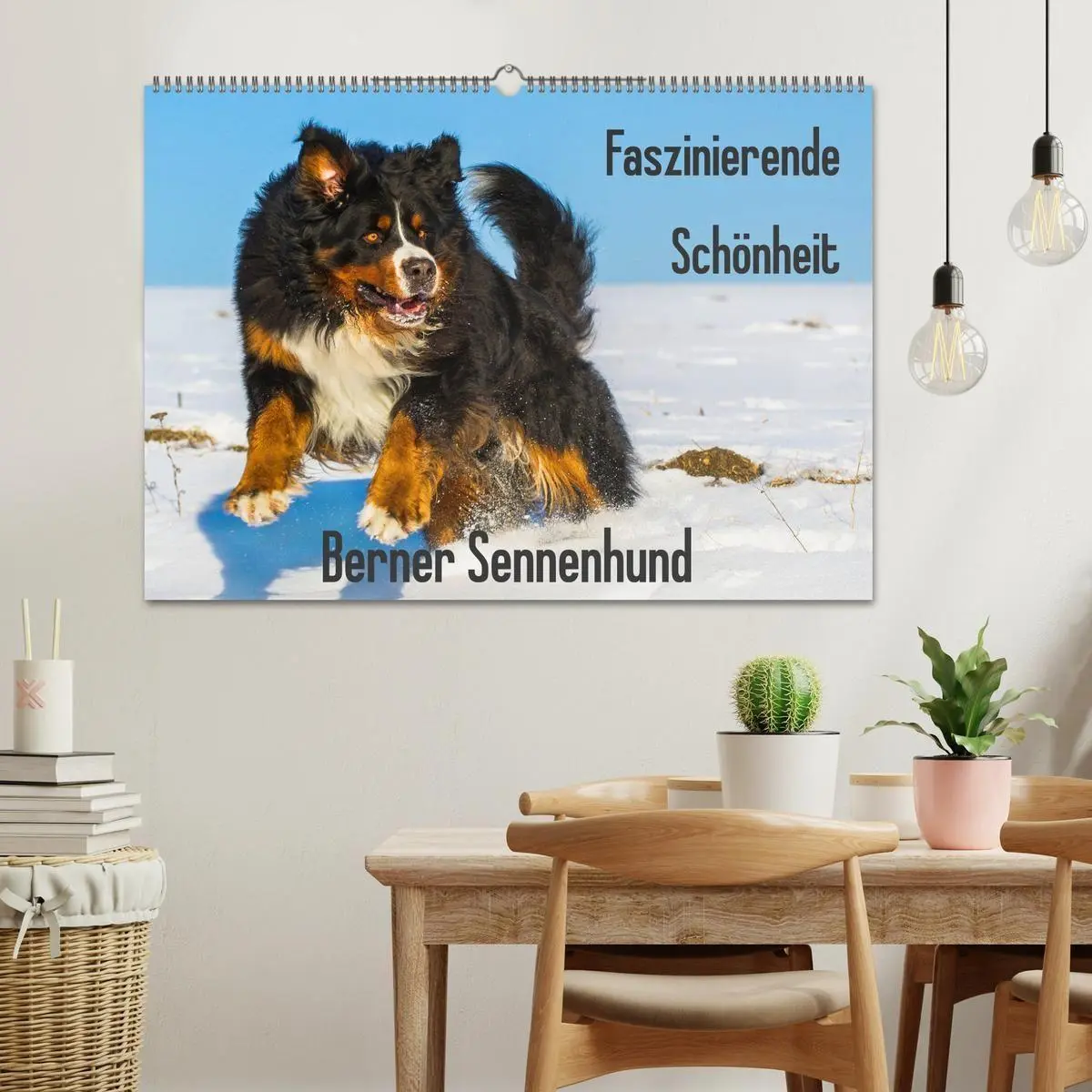 Bild: 9783569809963 | Faszinierende Schönheit Berner Sennenhund (Wandkalender 2027 DIN A2...