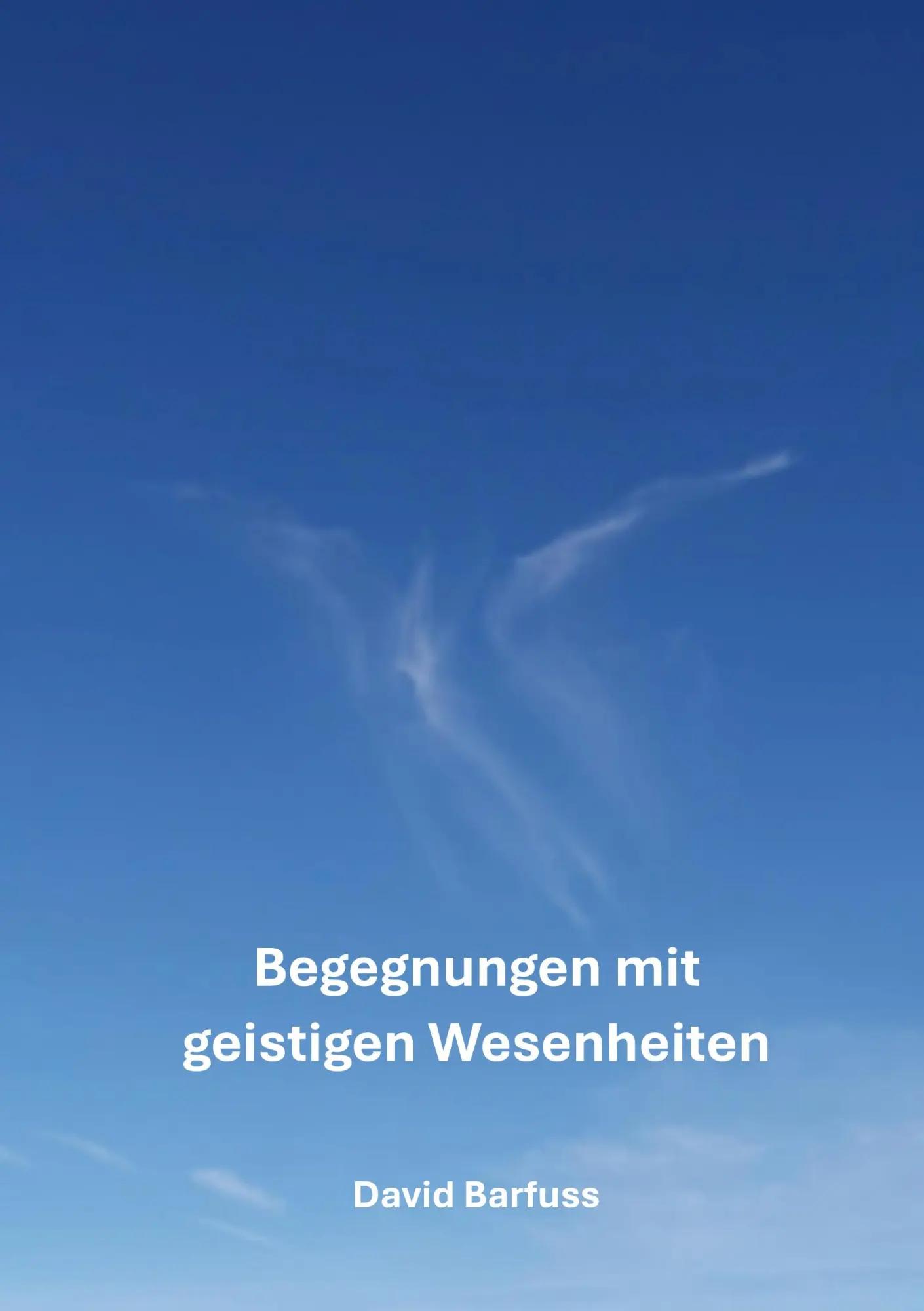 Cover: 9783695159963 | Begegnungen mit geistigen Wesenheiten | David Barfuss | Taschenbuch