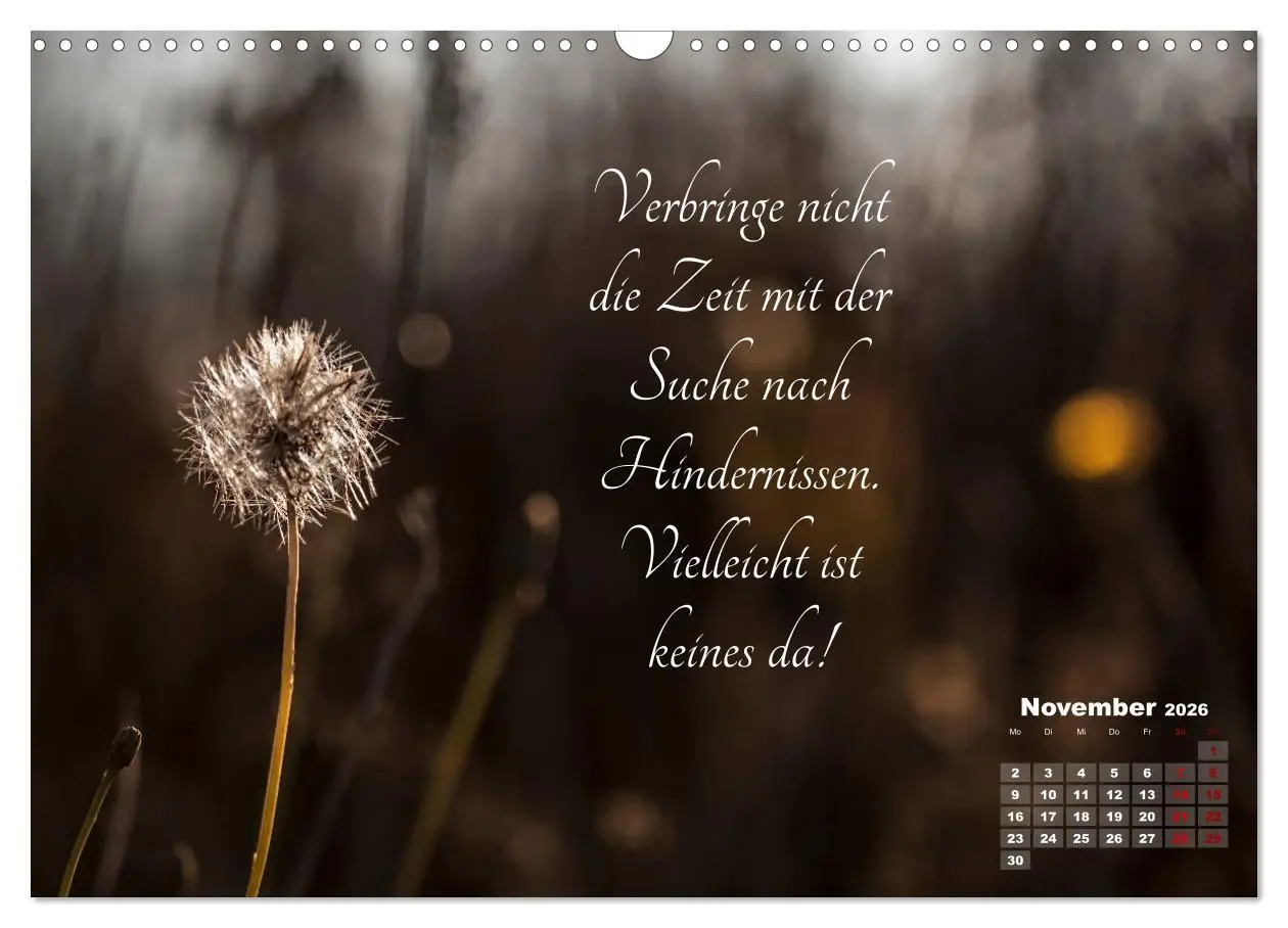 Bild: 9783457810064 | Chinesische Weisheiten (Wandkalender 2026 DIN A3 quer), CALVENDO...
