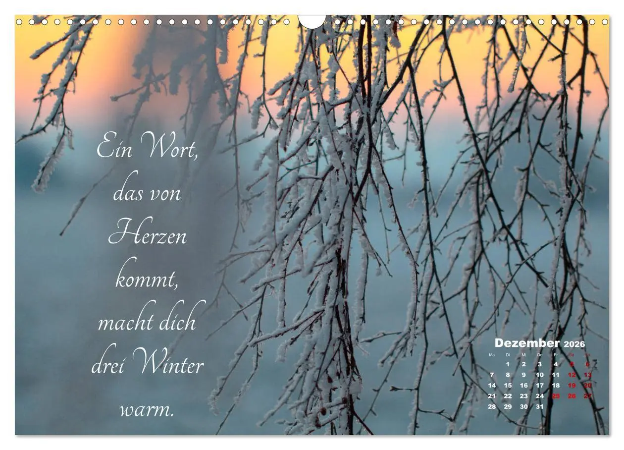 Bild: 9783457810064 | Chinesische Weisheiten (Wandkalender 2026 DIN A3 quer), CALVENDO...