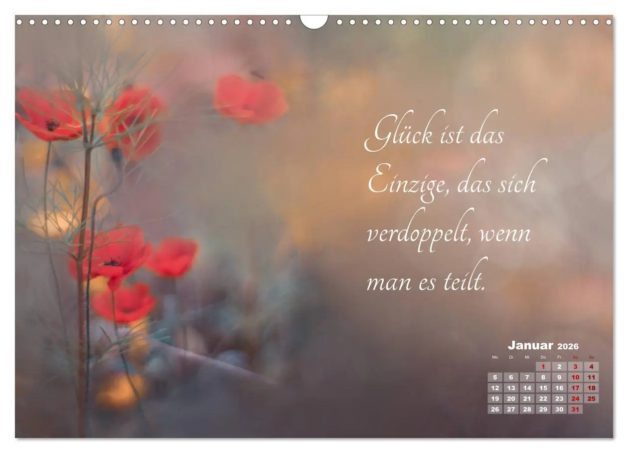Bild: 9783457810064 | Chinesische Weisheiten (Wandkalender 2026 DIN A3 quer), CALVENDO...