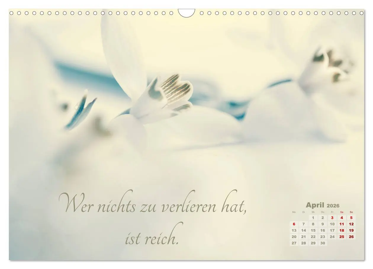 Bild: 9783457810064 | Chinesische Weisheiten (Wandkalender 2026 DIN A3 quer), CALVENDO...