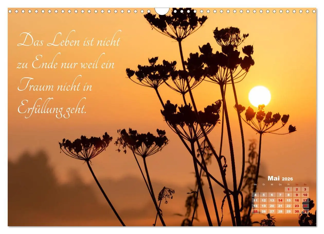 Bild: 9783457810064 | Chinesische Weisheiten (Wandkalender 2026 DIN A3 quer), CALVENDO...