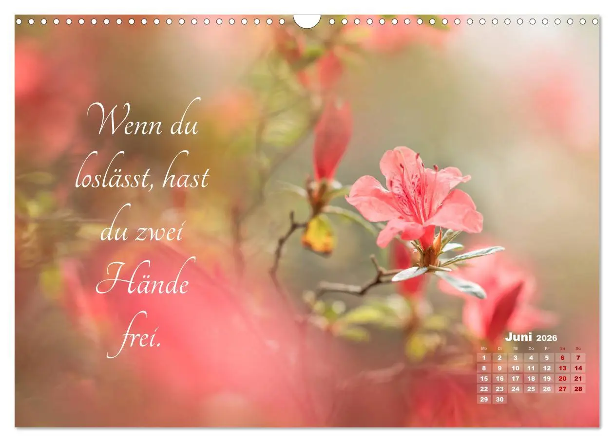 Bild: 9783457810064 | Chinesische Weisheiten (Wandkalender 2026 DIN A3 quer), CALVENDO...