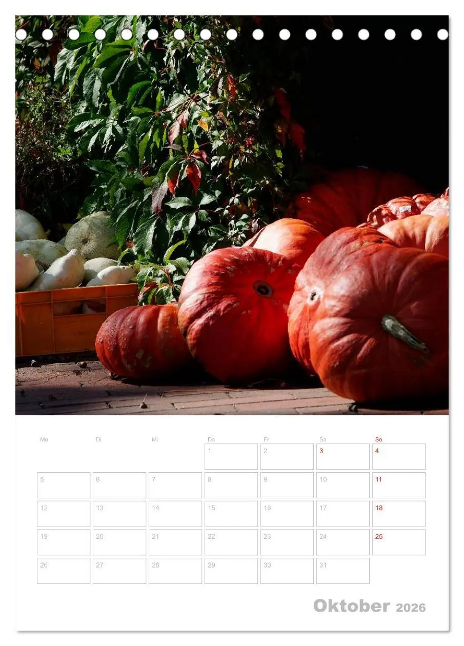 Bild: 9783516450064 | In der Küche Terminplaner (Tischkalender 2026 DIN A5 hoch),...