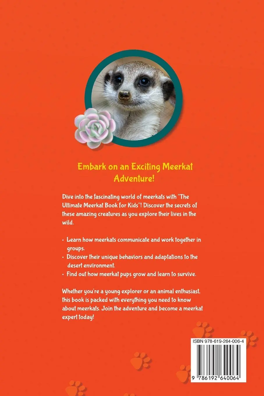 Rückseite: 9786192640064 | Meerkats The Ultimate Meerkat Book for Kids | Jenny Kellett | Buch