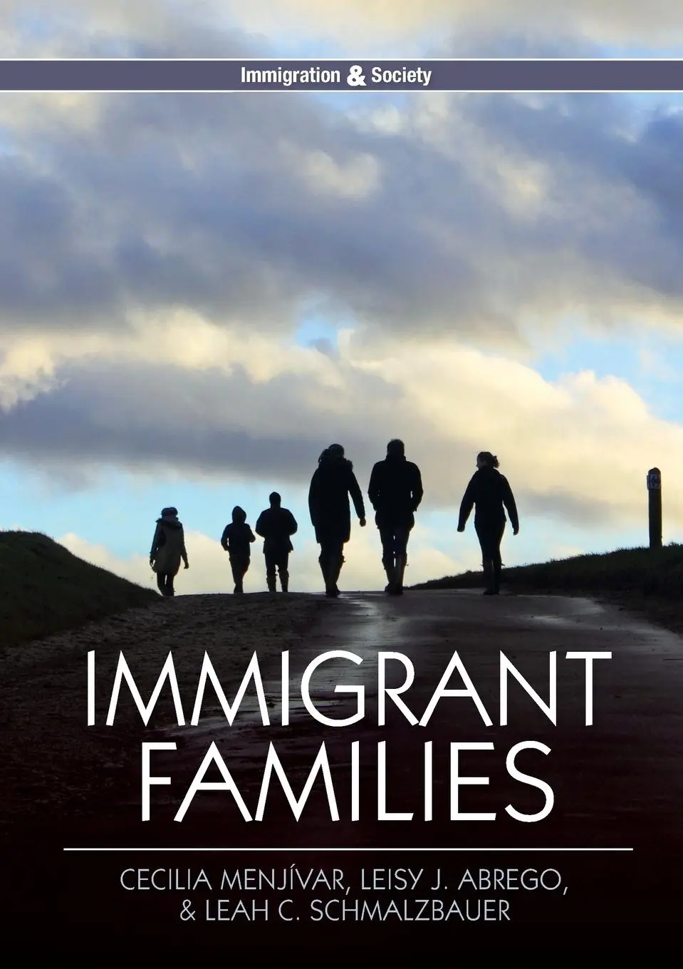 Cover: 9780745670164 | Immigrant Families | Cecilia Menjívar (u. a.) | Taschenbuch | 200 S.