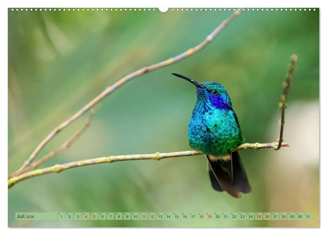 Bild: 9783457280164 | Tropenparadies zwischen Ozeanen Costa Rica (hochwertiger Premium...