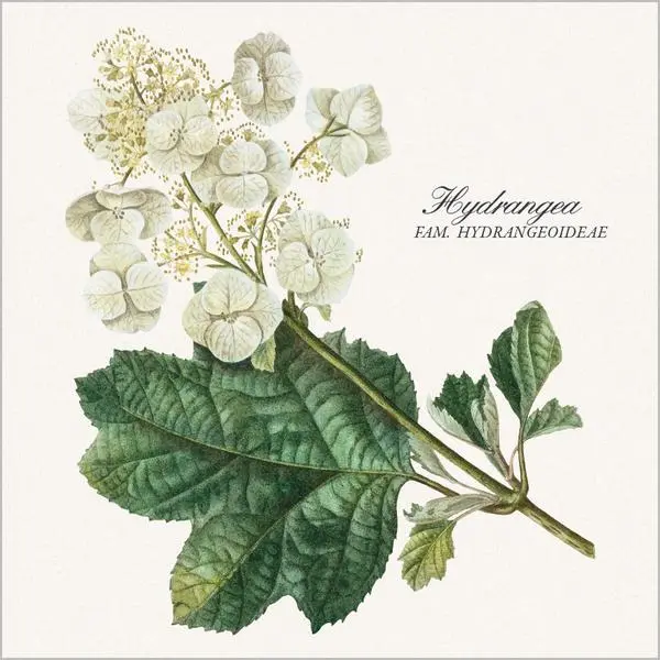 Bild: 9783731890164 | Botanicum 2026 | Verlag Korsch | Kalender | 13 S. | Deutsch | 2026