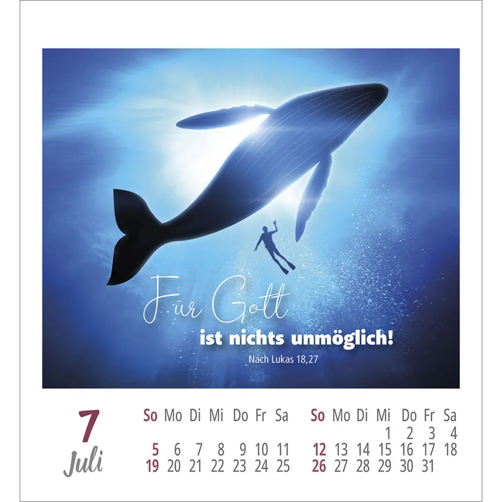 Bild: 9783754890264 | Frei sein &amp; leben 2026 | Aufkleber-Kalender | Kalender | Spiralbindung