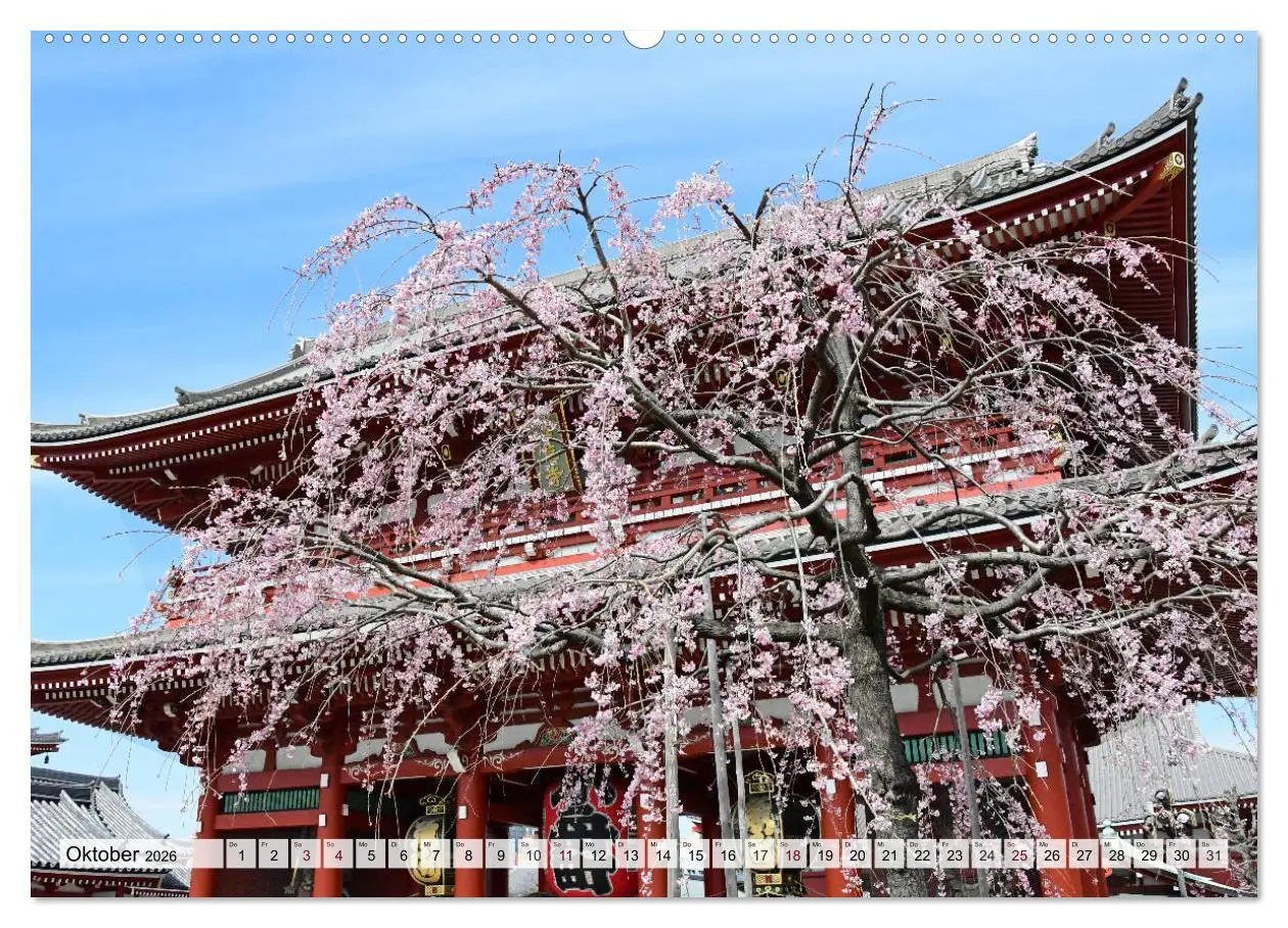Bild: 9783457710364 | Die Kirschblüte in Japan (Wandkalender 2026 DIN A2 quer), CALVENDO...